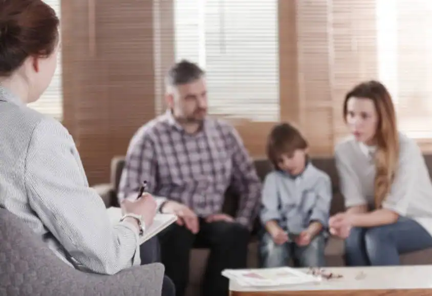 Different Parenting Styles and Expectations: Finding Common Ground Through Mediation Boston